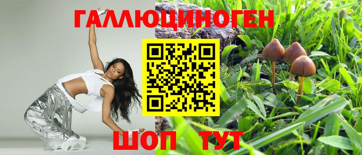 Галлюциногенные грибы Psilocybe  Галлюциногенные грибы GOLDEN TEACHER  Вход с VPN  Тихорецк 